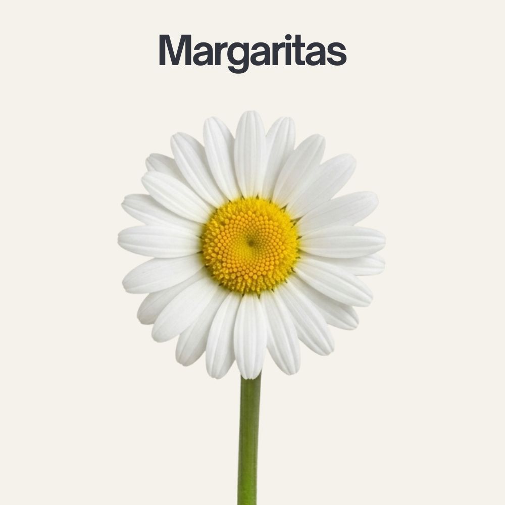 Tipos-de-flores-12
