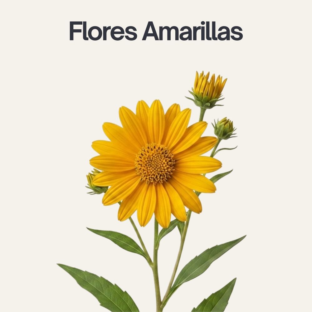Tipos-de-flores-13