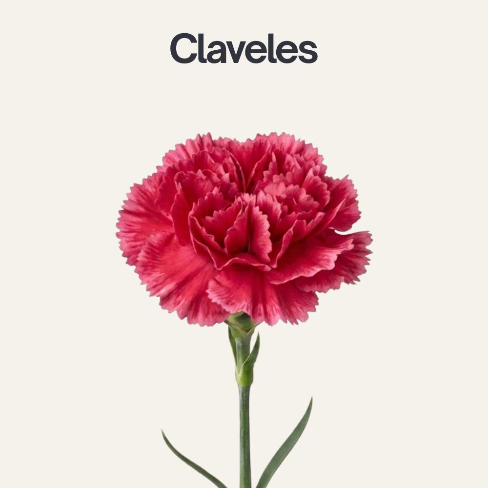 Tipos-de-flores-15